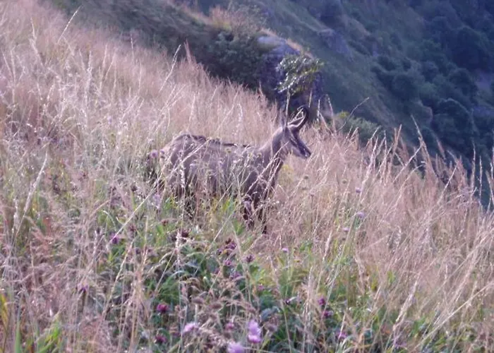 De Montagne Avec Terrasse Et Vue Imprenable - Fr-1-589-72 Prázdninový dům
